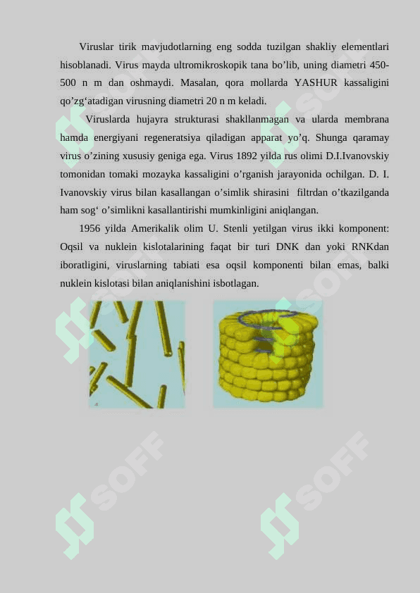 VIRUSLARNING UMUMIY HARAKTERISTIKASI VA ULARNING  TASNIFI 2