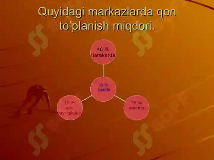 Qon aylanish fiziologiyasi 6