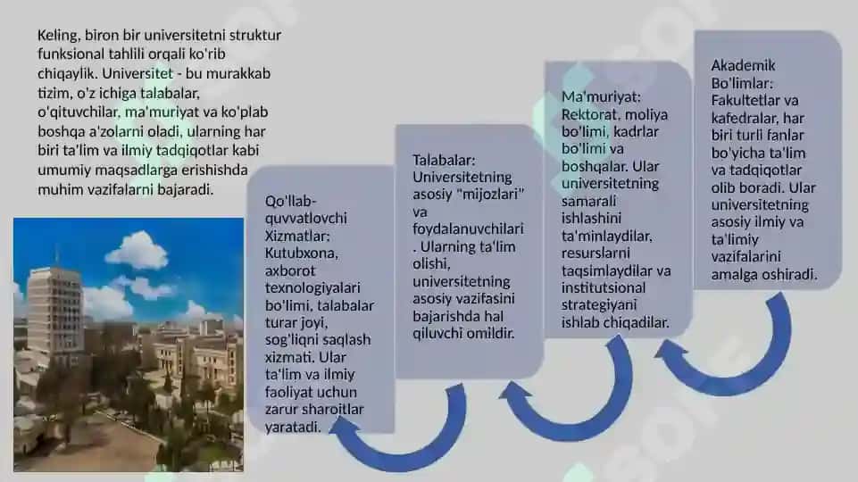 Struktur funksional tahlil 2