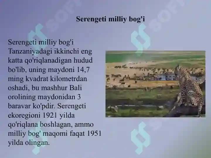 Serengeti milliy bog'i 2