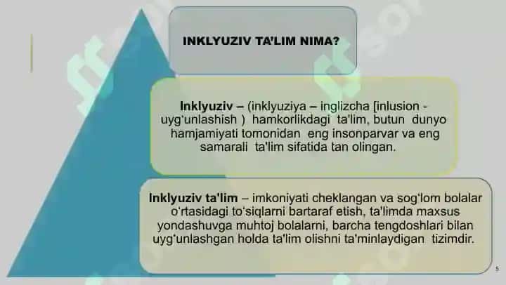 Inklyuziv talimning mazmun mohiyati 5
