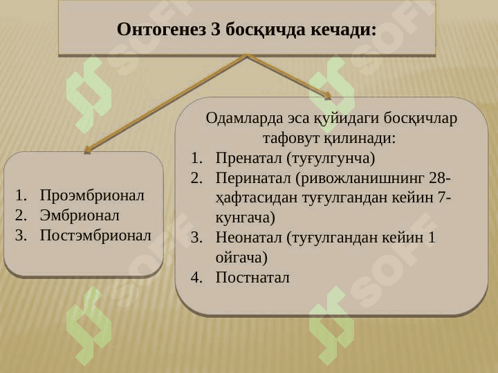 Ontogenez - organizmlarning individual rivojlanishi. Regeneratsiya, transplantatsiya va gomeostaz 5