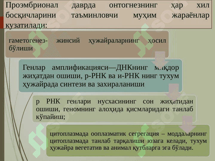Ontogenez - organizmlarning individual rivojlanishi. Regeneratsiya, transplantatsiya va gomeostaz 7