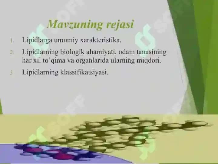 Lipidlar: tuzilishi hossalari va biologik funksiyalari 2