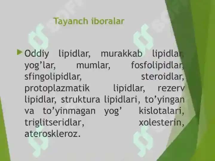 Lipidlar: tuzilishi hossalari va biologik funksiyalari 3