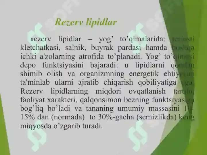 Lipidlar: tuzilishi hossalari va biologik funksiyalari 7