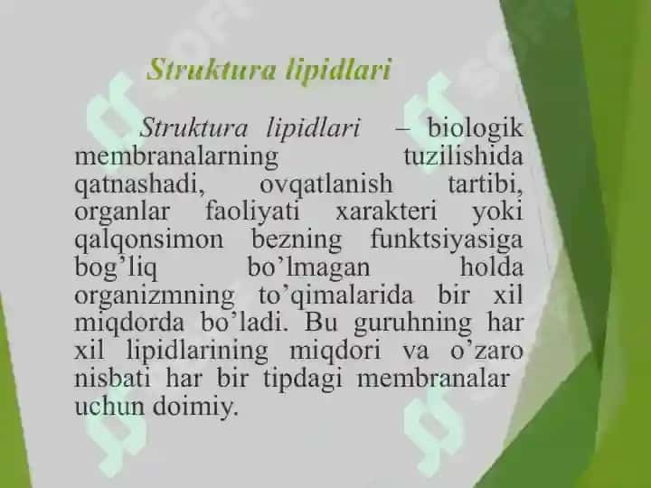 Lipidlar: tuzilishi hossalari va biologik funksiyalari 8