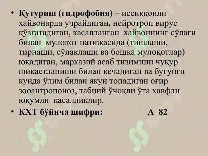 Қутуриш 2
