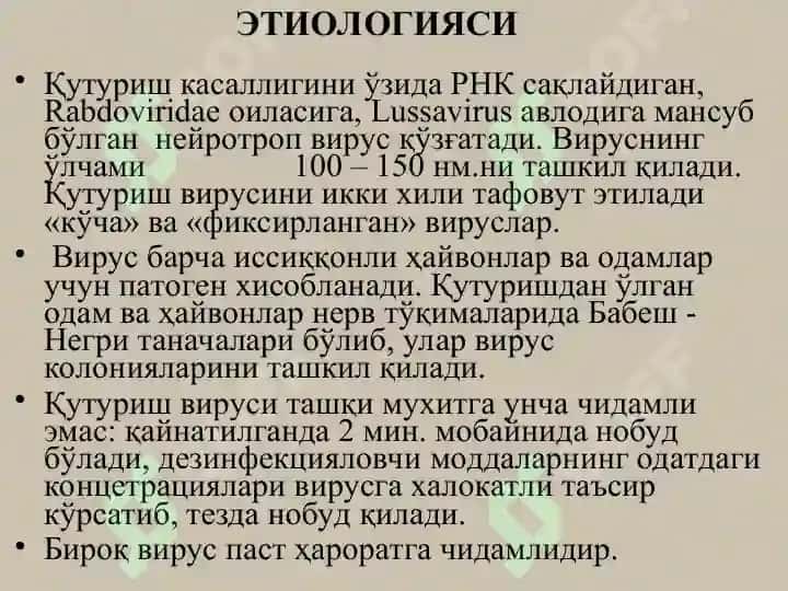 Қутуриш 6