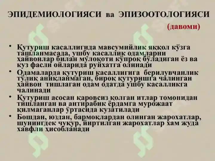 Қутуриш 8