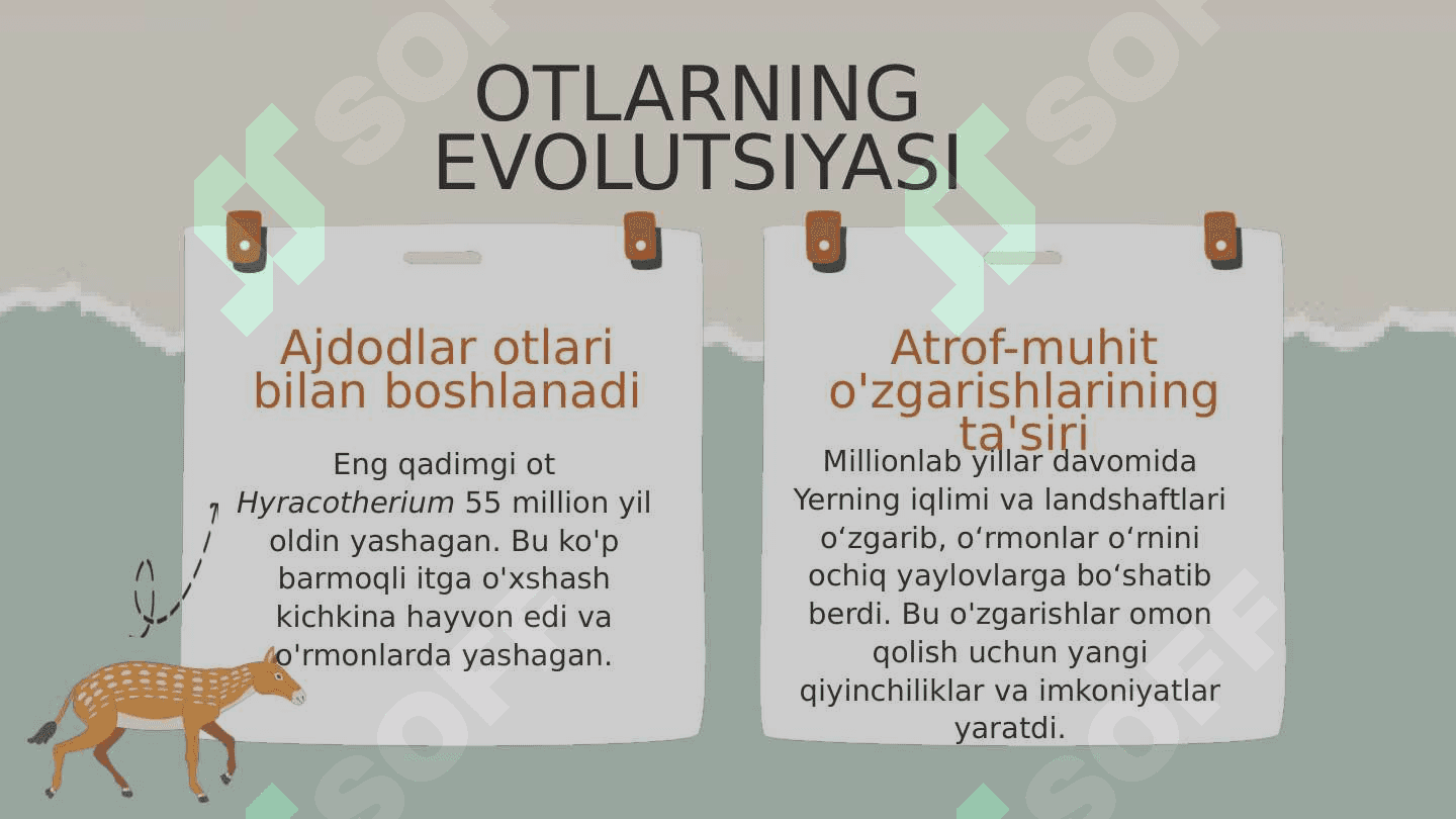 Evolyutsiya 6