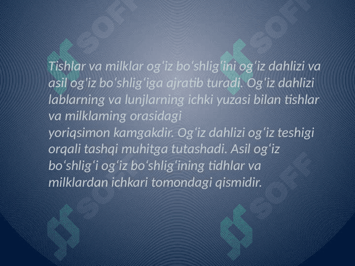 Og'iz bo'shlig'i shilliq qavatining gistalogik tuzilishi 5