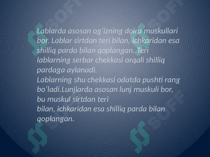Og'iz bo'shlig'i shilliq qavatining gistalogik tuzilishi 6