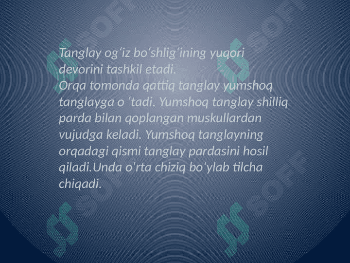 Og'iz bo'shlig'i shilliq qavatining gistalogik tuzilishi 7