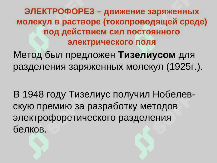 ЭЛЕКТРОФОРЕЗ 2