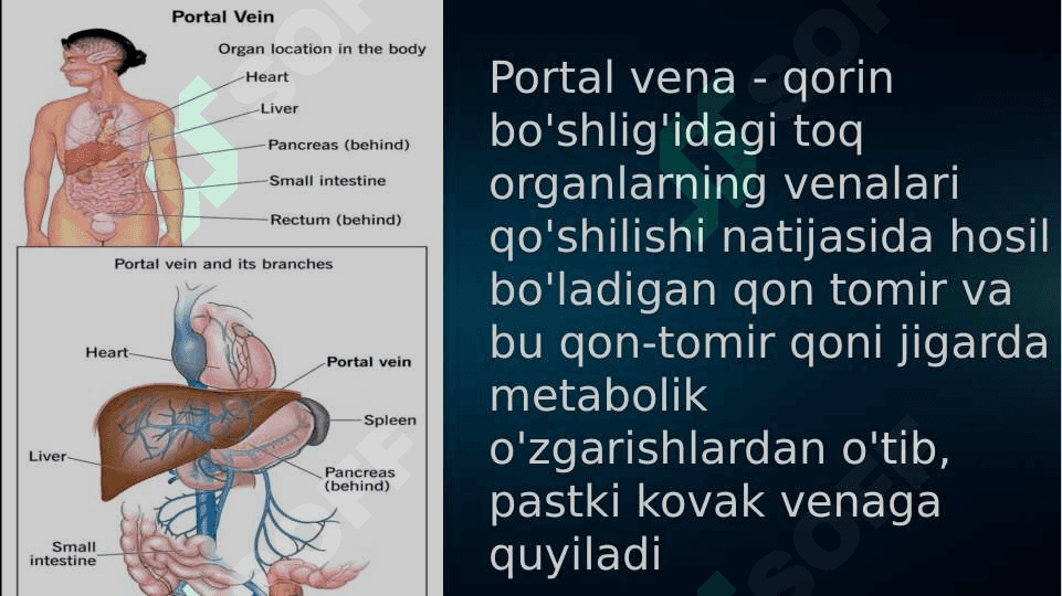 Portal gipertenziya 2