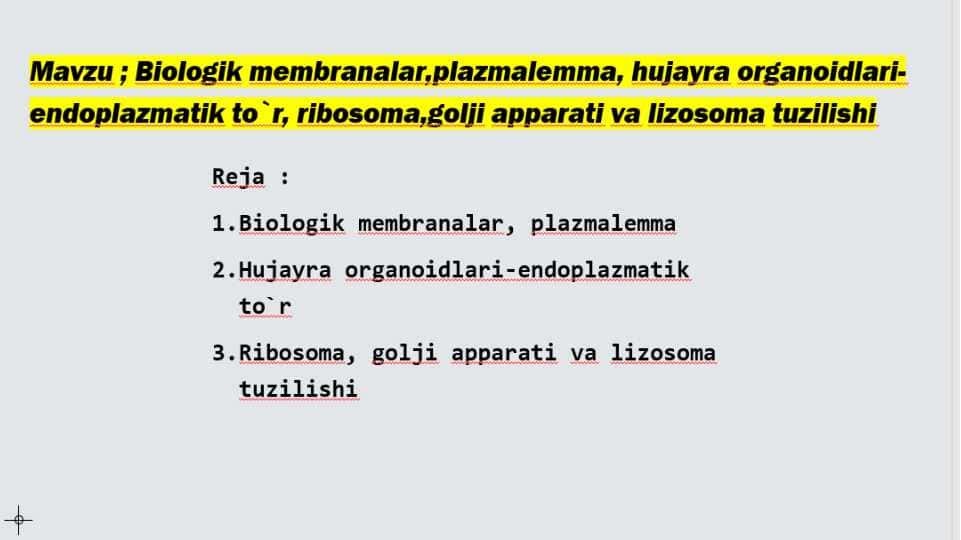 biologik membranalar 1