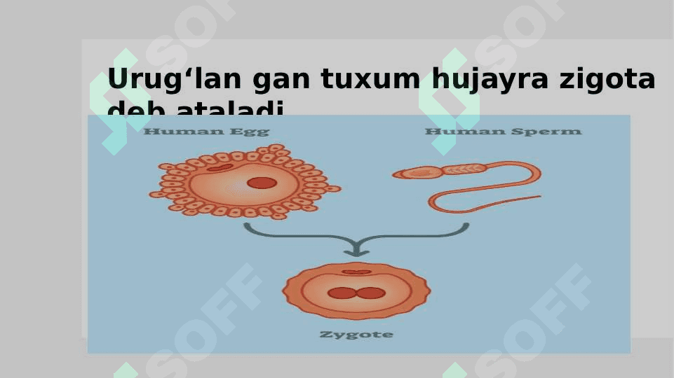 urug`lanish madalanish 3