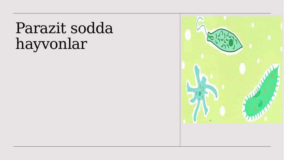 Parazit sodda hayvonlar 1