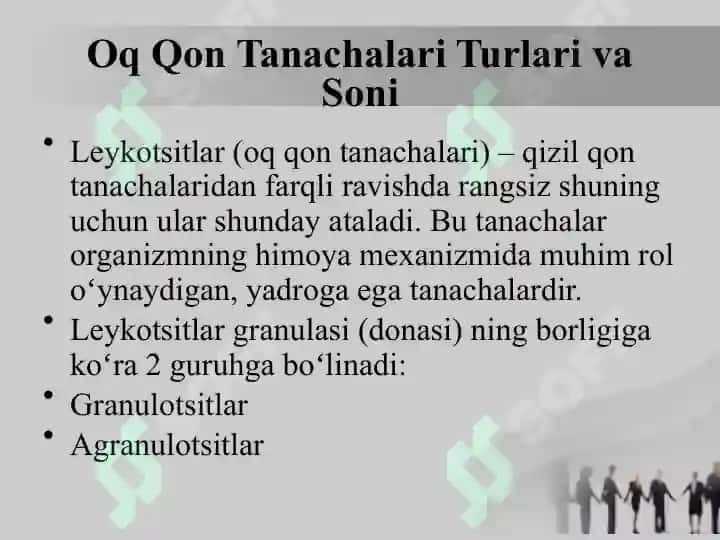 oq qon tanachalari pptx 2
