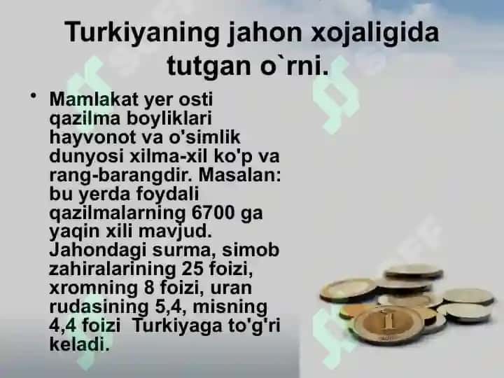 Turkiyaning xalqaro iqtisodiyoti. slayd 3