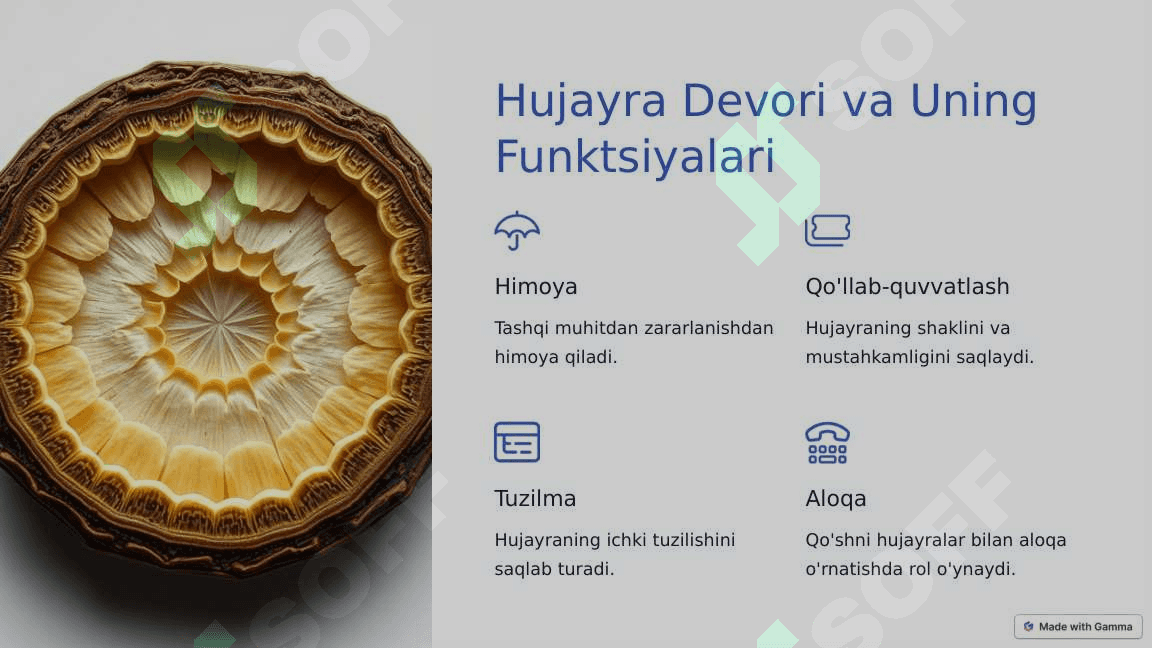 O'simlik va xayvon xujayralarning farqlari, o'simliklarning belgilari 4