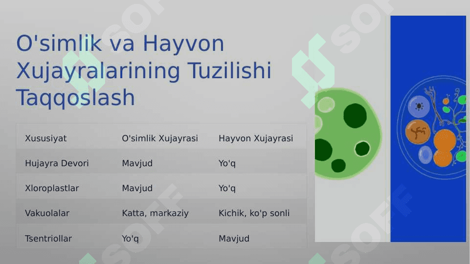 O'simlik va xayvon xujayralarning farqlari, o'simliklarning belgilari 6