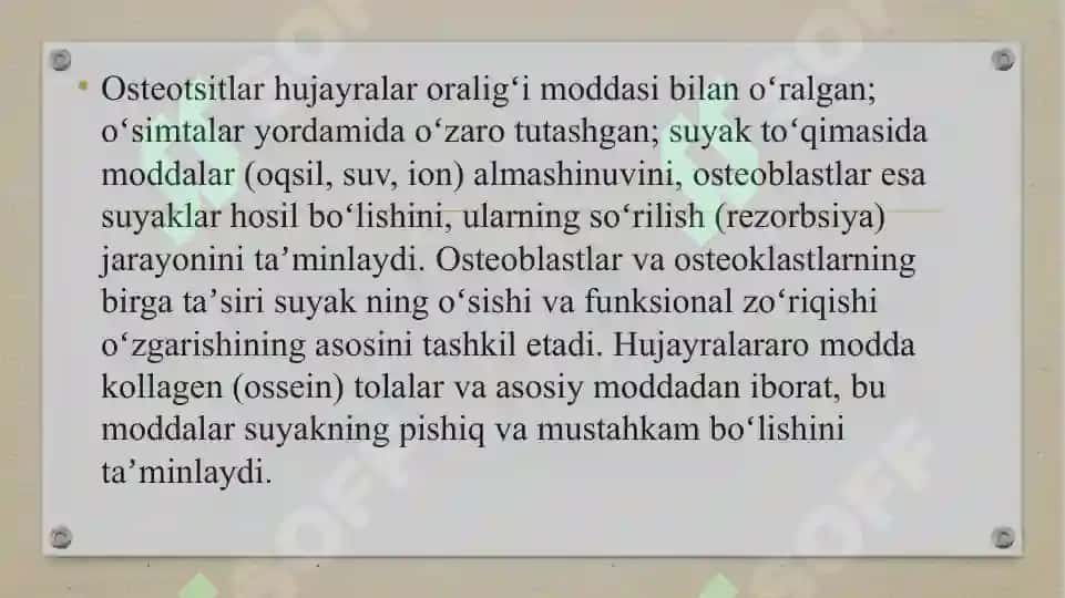 Pastki kamar suyaklari (tos suyaklari) 3