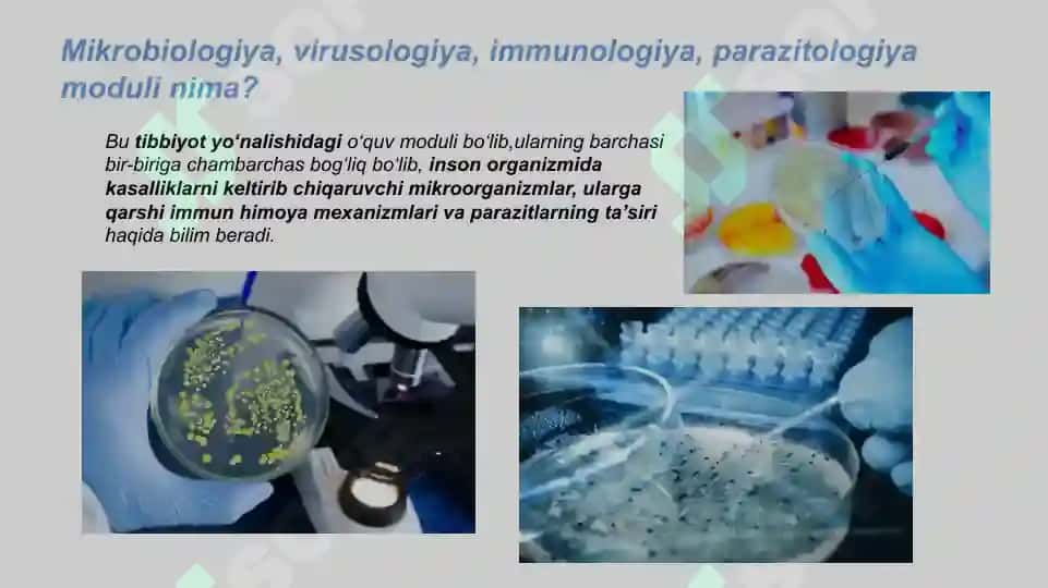 Mikrobiologiya 2