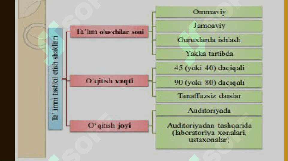 Pedagogika fanlarini o`qitish shakllari 7