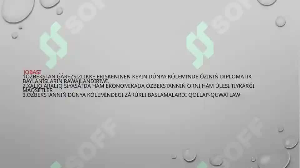 Ozbekistannin xaliq araliq shoklemler menen birge islesiwi 2