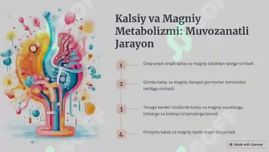 Kalsiy va Magniy 3