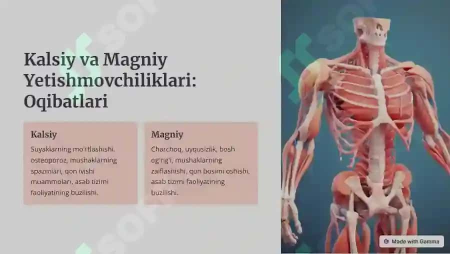 Kalsiy va Magniy 4