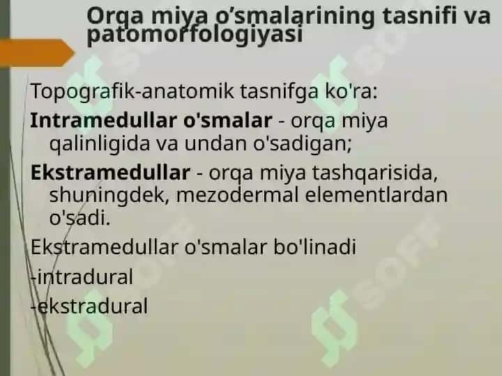 Orqa miya o’smalari 4