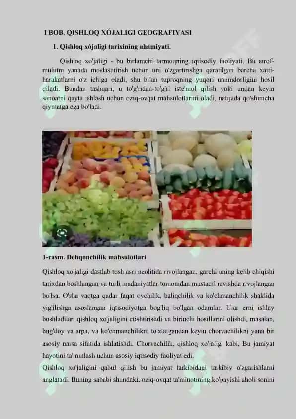 Iqtisodiy ijtimoiy geografiya 5