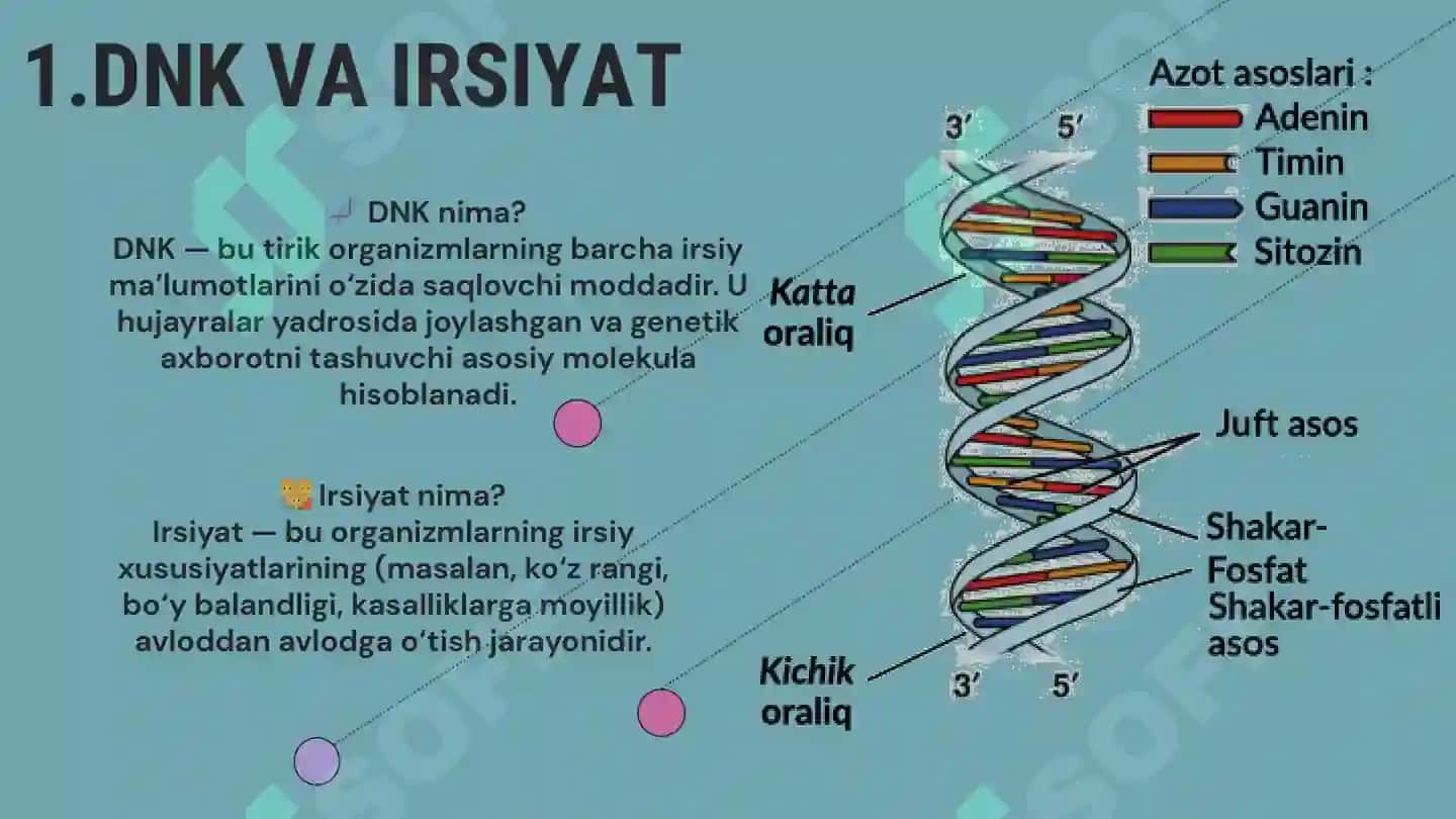 molekulyar biologiya 3