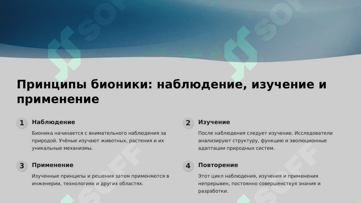 Основы бионики и эё место в жизни человека. 3