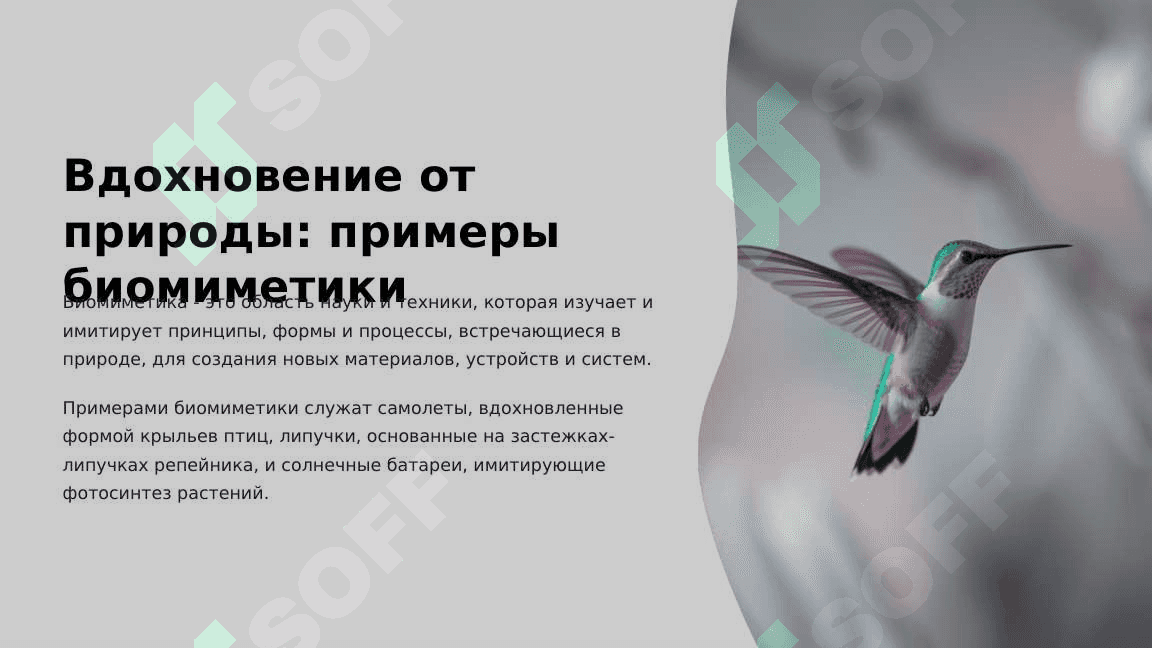 Основы бионики и эё место в жизни человека. 4