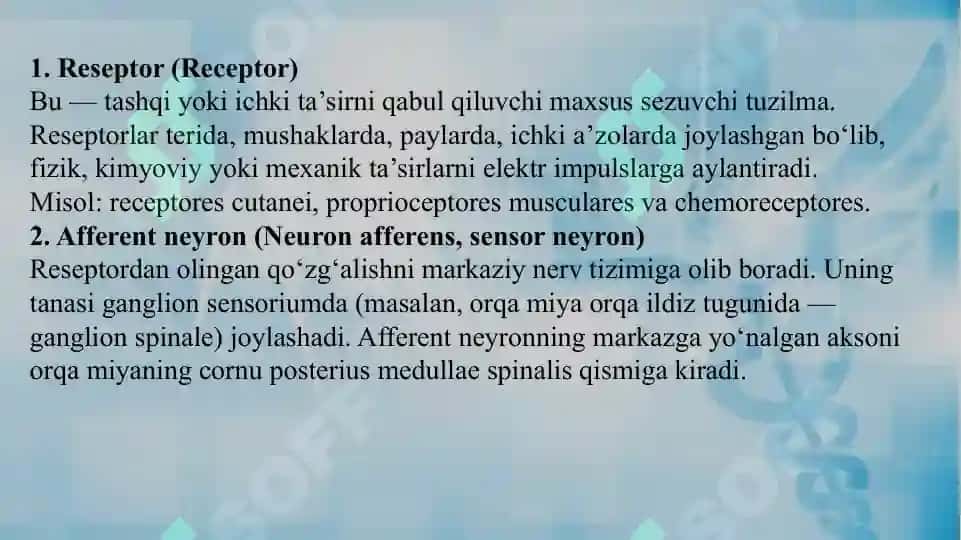 Oddiy refleks yoyi. Sezuv o‘tkazuv yo’llari.Harakat o‘tkazuv yo‘llari. 4