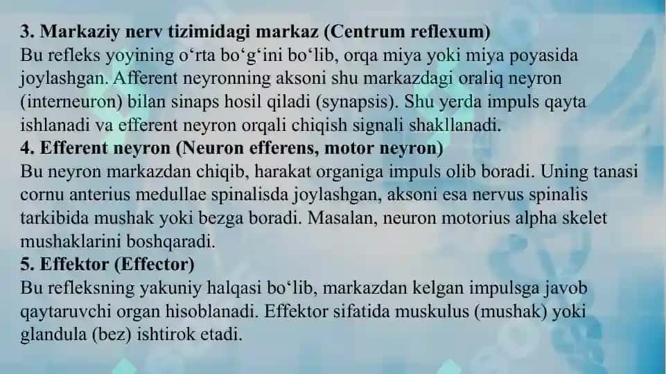 Oddiy refleks yoyi. Sezuv o‘tkazuv yo’llari.Harakat o‘tkazuv yo‘llari. 5