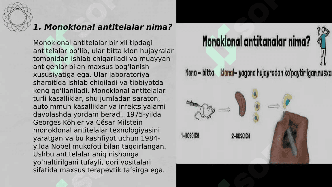 Monoklonal antitelalar, ularning olinishi, tiplari va amaliyotda  qo‘llanilishi. 3
