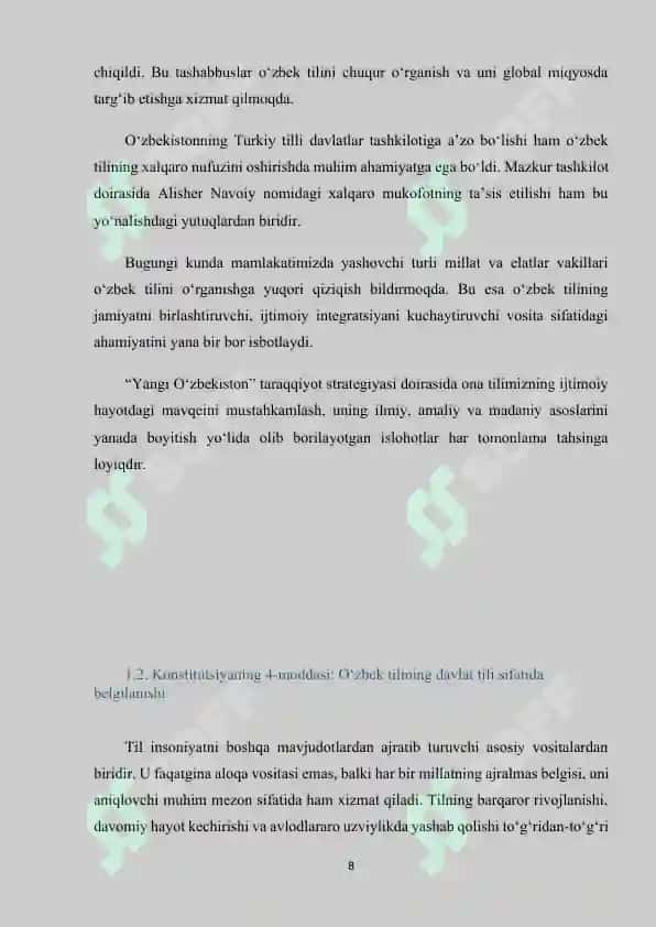 Davlat tilining konstitutsiyaviy maqomi 8