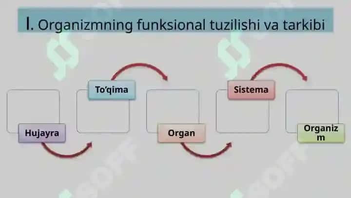 Fiziologiyaga kirish 3