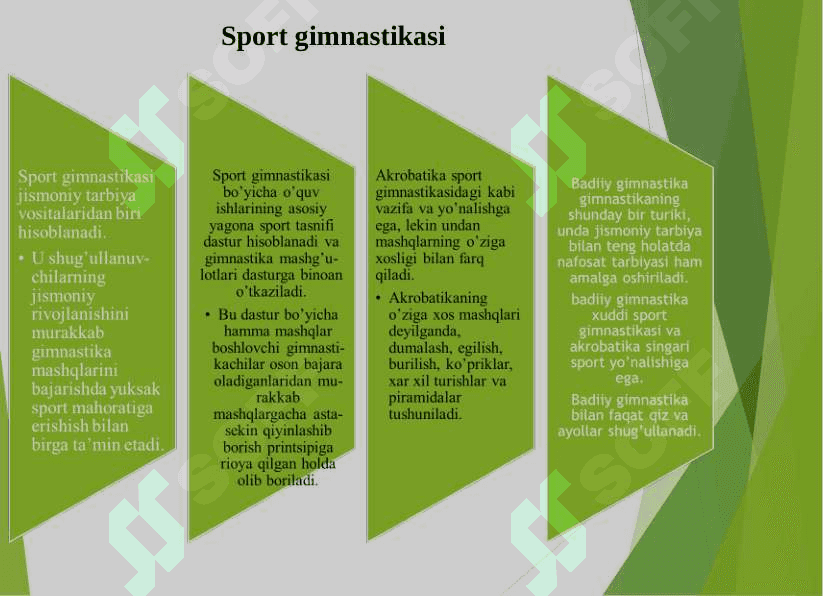 Gimnastika turlari. 5