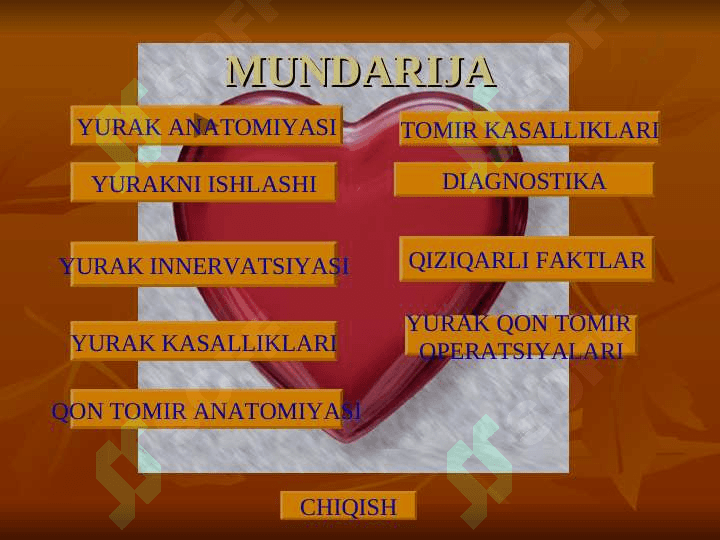 YURAK ANATOMIYASI 2
