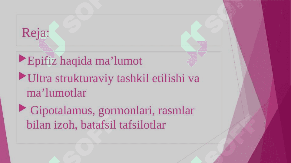 Epifizning ultra strukturaviy tashkil etilishi va funksiyalari gipotalamus neyroslekretsiyasining strukturaviy asoslari 2