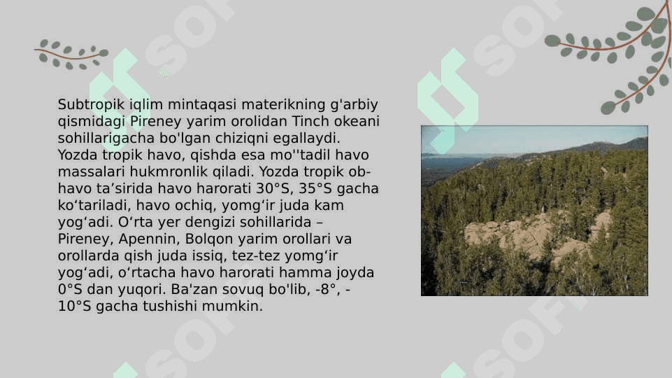 Subtropik mintaqa tuproqlari 3