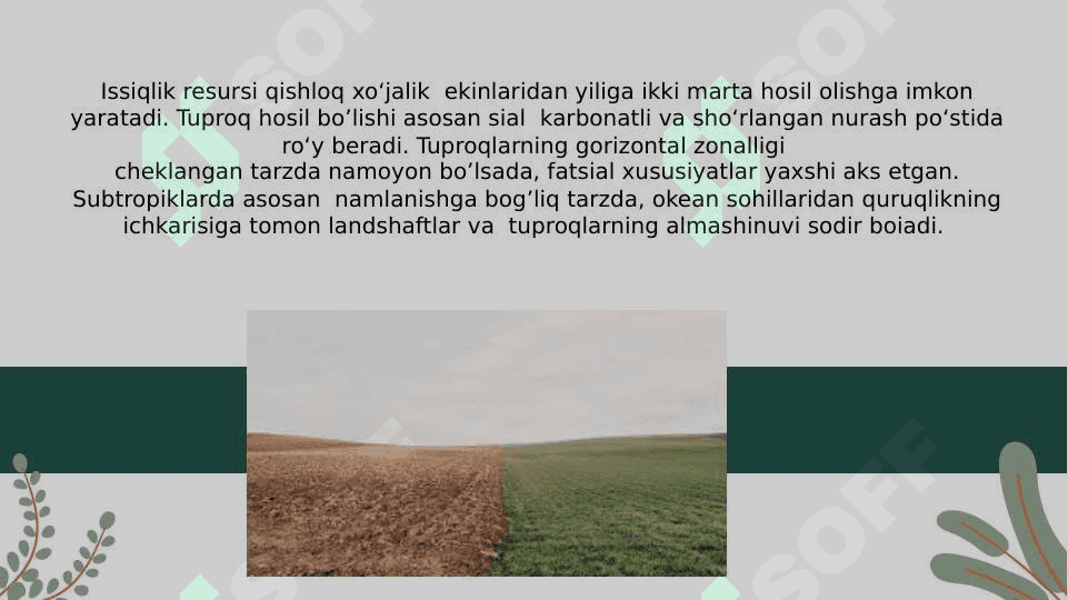 Subtropik mintaqa tuproqlari 7