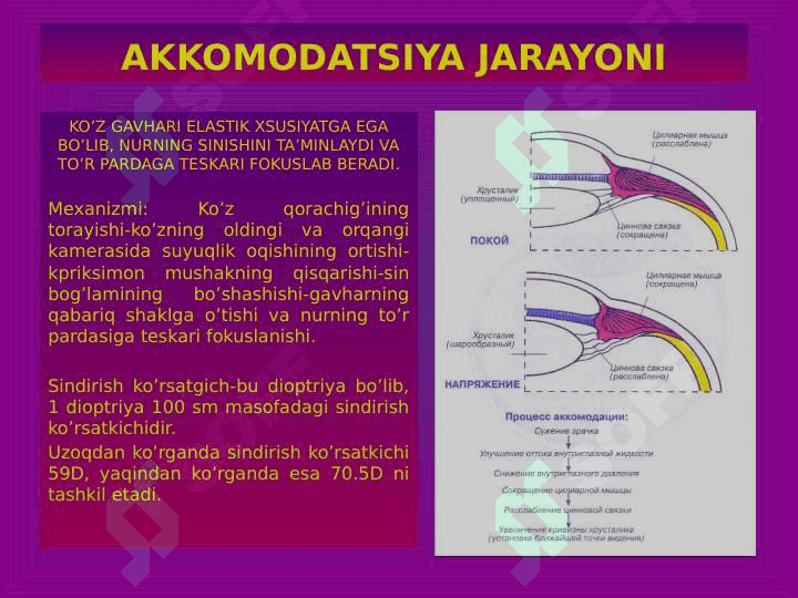 Ko`rish va eshitish analizatorlari fiziologiyasi 4
