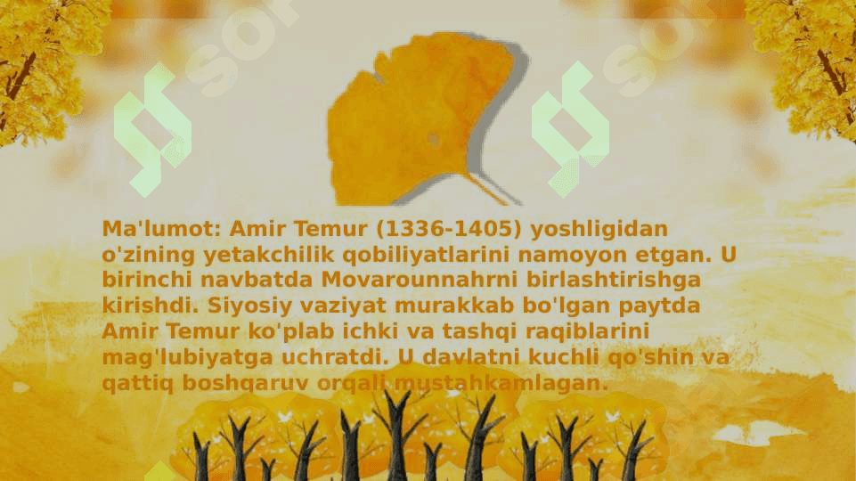 Amir Temur 2